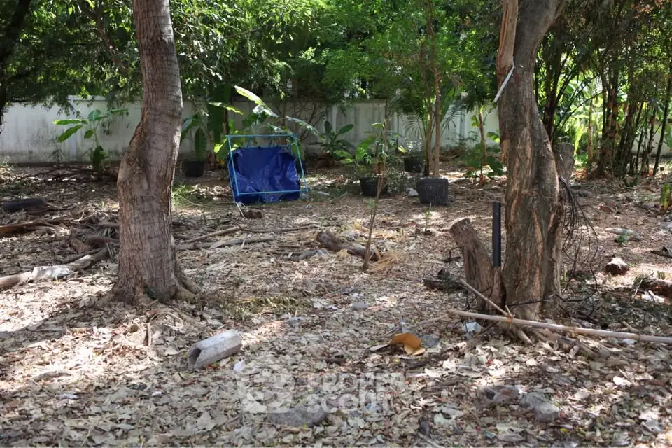 Spacious garden area with lush greenery and natural surroundings, perfect for outdoor relaxation and activities.