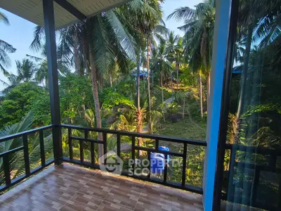Tropical balcony with lush palm tree views, perfect for serene relaxation and nature lovers.