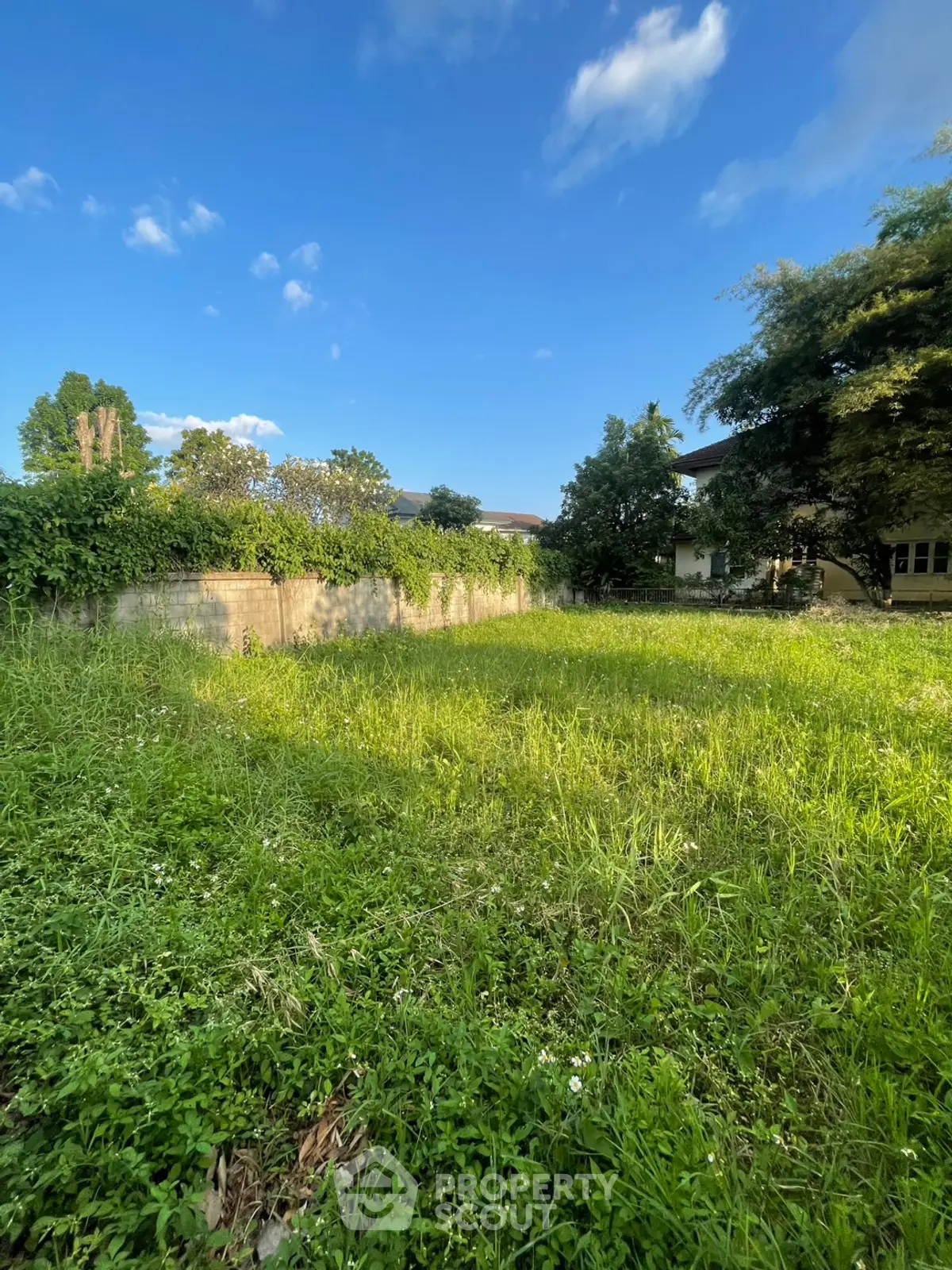 Spacious green plot of land with lush vegetation, perfect for development opportunities.