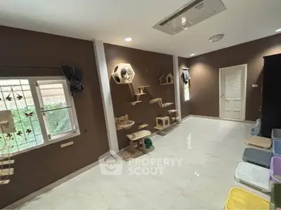 Spacious pet-friendly room with wall-mounted cat shelves and modern lighting.