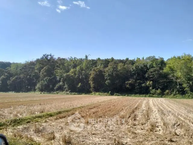 Expansive agricultural land with harvested fields under a clear blue sky, bordered by lush greenery, ideal for farming or development.