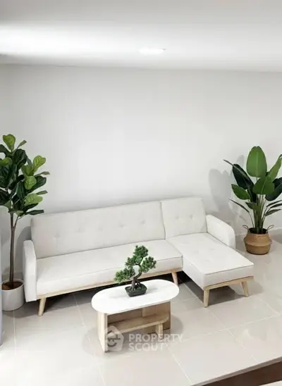 Modern living room with white sectional sofa and indoor plants