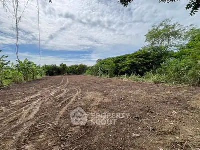 image_rental-27237082