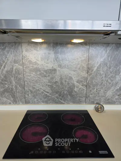 Modern kitchen with sleek electric cooktop and stylish backsplash