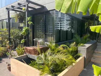 image_rental-31107321