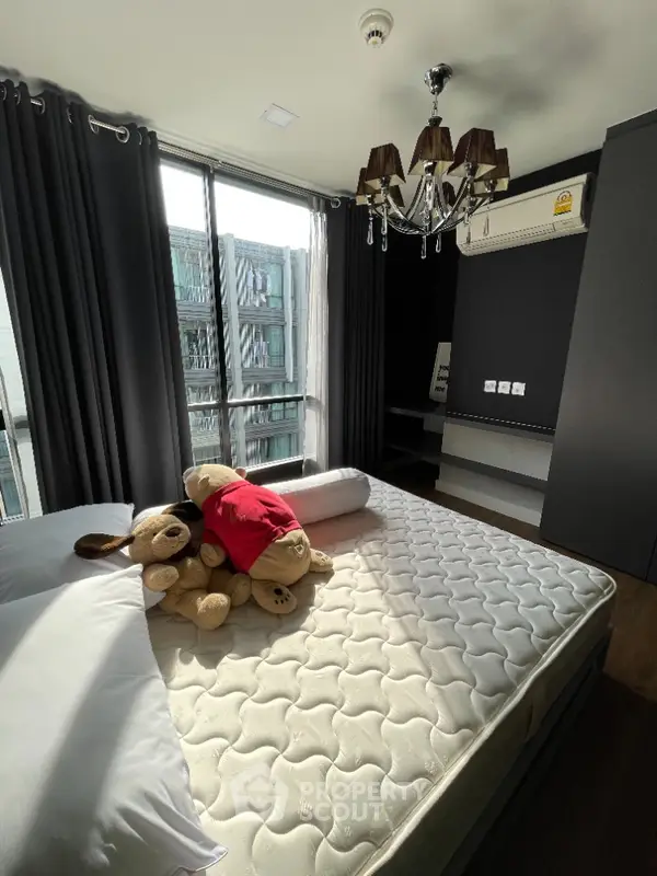 image_rental-6409557