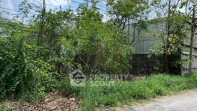 image_rental-18791346