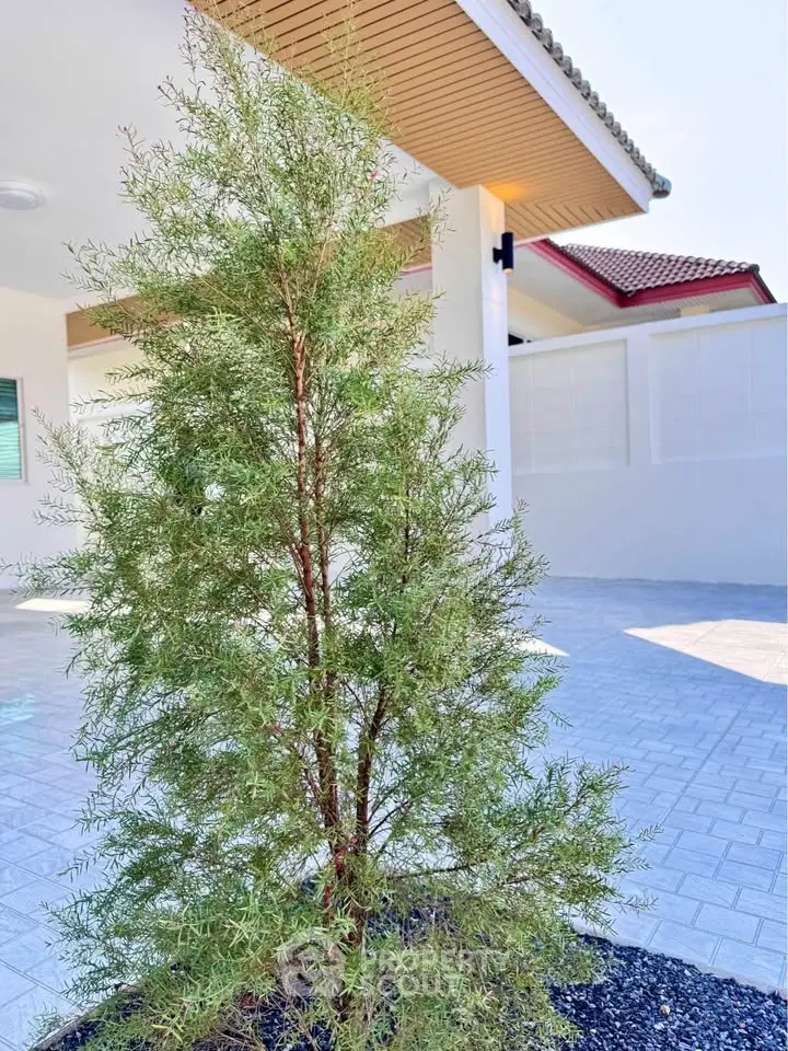 Modern home exterior with stylish landscaping and paved driveway