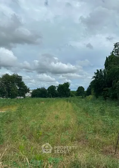 Expansive green field under a cloudy sky, perfect for development opportunities.