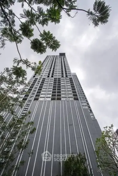 image_rental-31228218