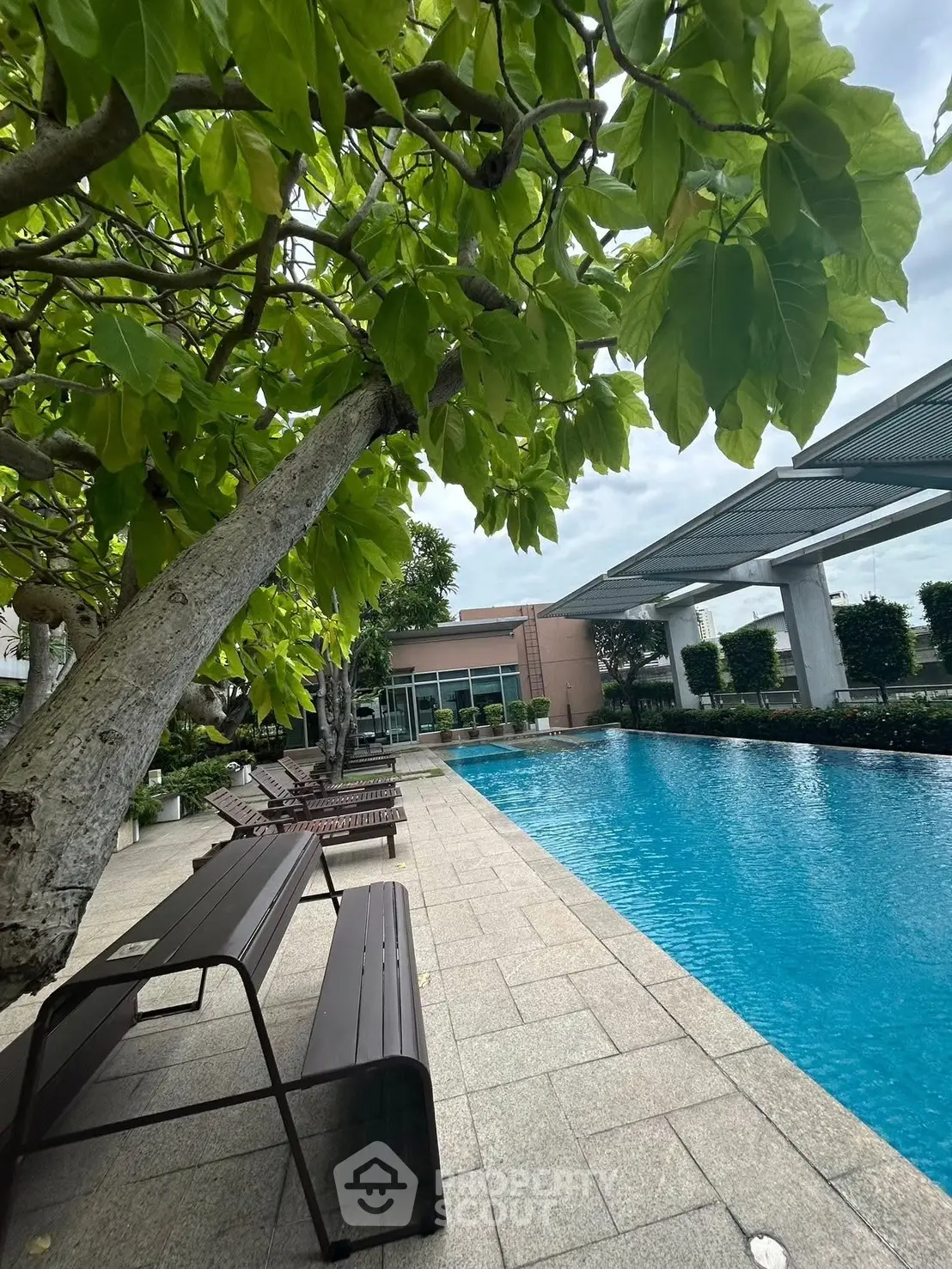 Luxurious poolside view with lush greenery and modern architecture, perfect for relaxation and leisure.