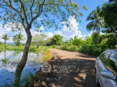 Scenic rural road with lush greenery and serene pond, perfect for tranquil living.