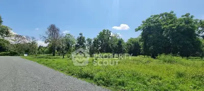 Expansive green land with trees under a clear blue sky, perfect for development opportunities.