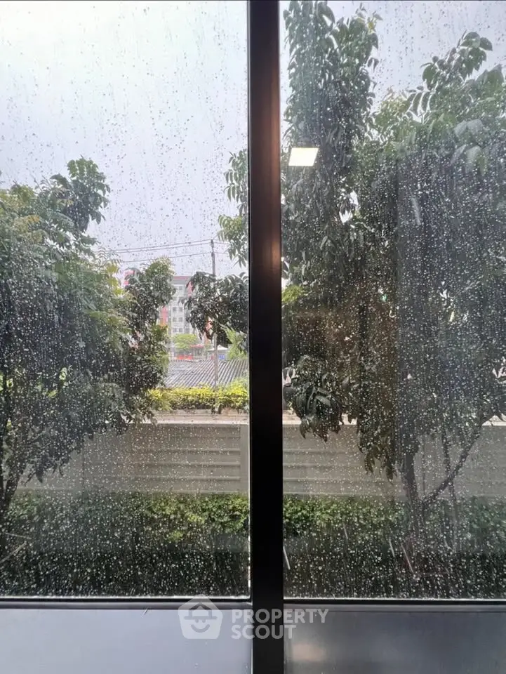 Rainy day view from a window overlooking lush greenery and trees.