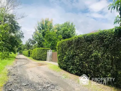 Charming rural pathway with lush greenery and hedges, perfect for serene living.