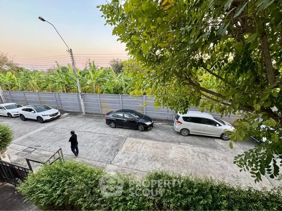 Serene residential street view with parked cars and lush greenery
