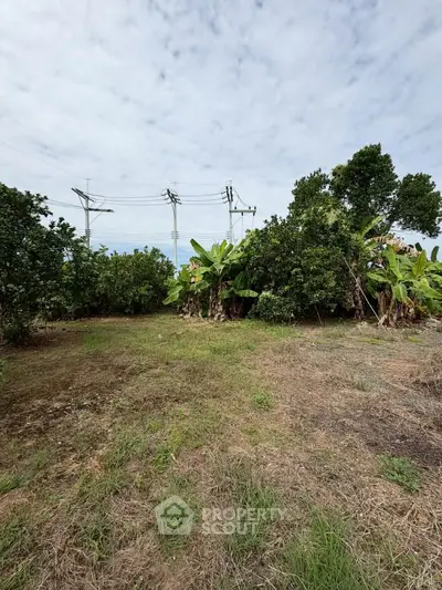 Spacious land plot with lush greenery and clear sky, ideal for development or agriculture.