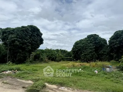 Expansive green land with lush trees, perfect for development or agriculture, offering serene natural surroundings.