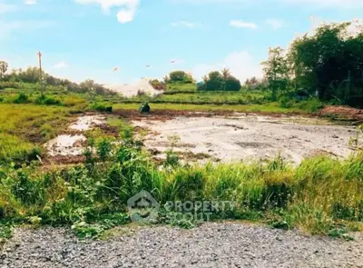 Expansive land plot with lush greenery and open sky, perfect for development opportunities.