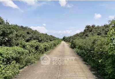 image_rental-29678780