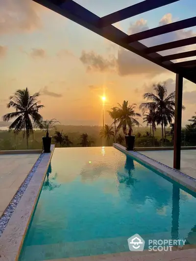 Stunning infinity pool with breathtaking sunset view and palm trees