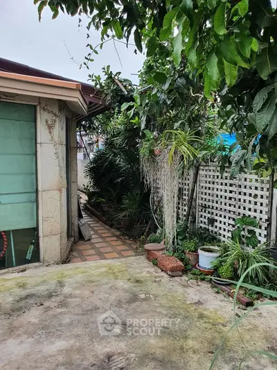 image_rental-29029220