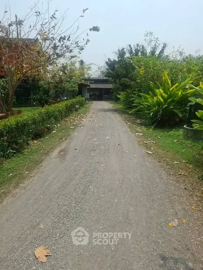 Charming rural driveway leading to a cozy home surrounded by lush greenery and trees.