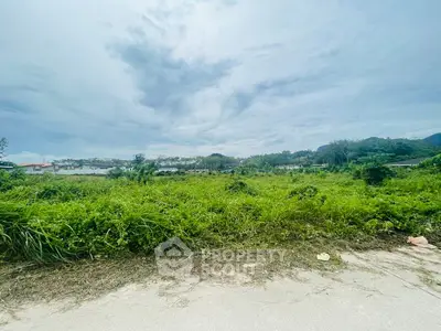 Expansive green land with scenic views, perfect for development opportunities.
