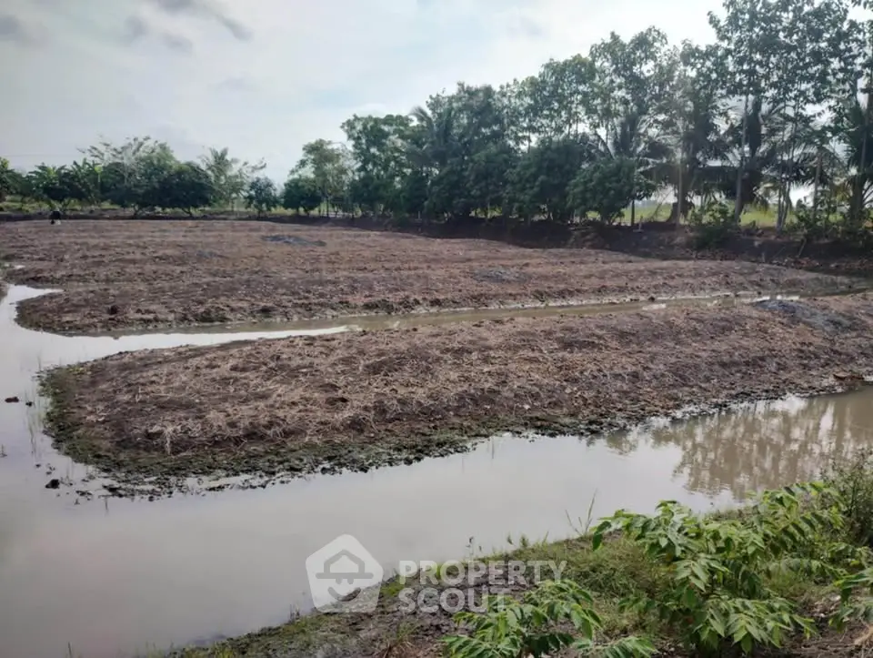 Expansive land plot with water features and lush greenery, ideal for development.