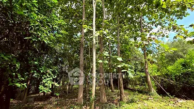 image_rental-31766962