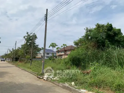 Scenic suburban street view with lush greenery and modern houses under a clear sky.