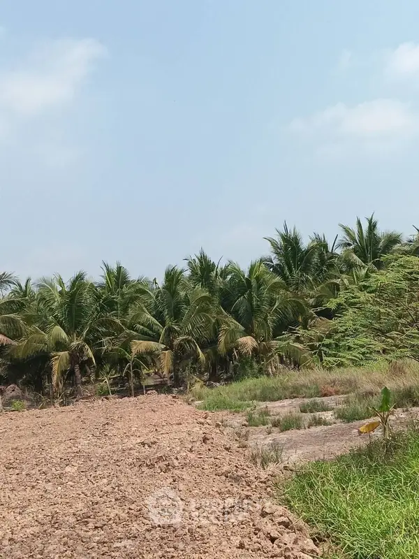 image_rental-16964320