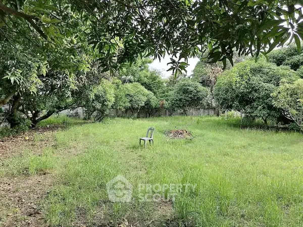 image_rental-31683984