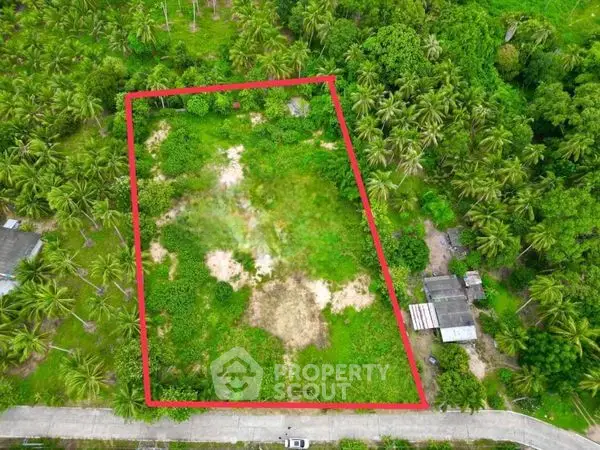 image_rental-21807521