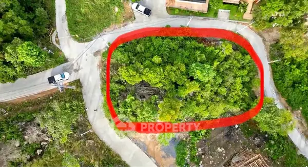 image_rental-12642520