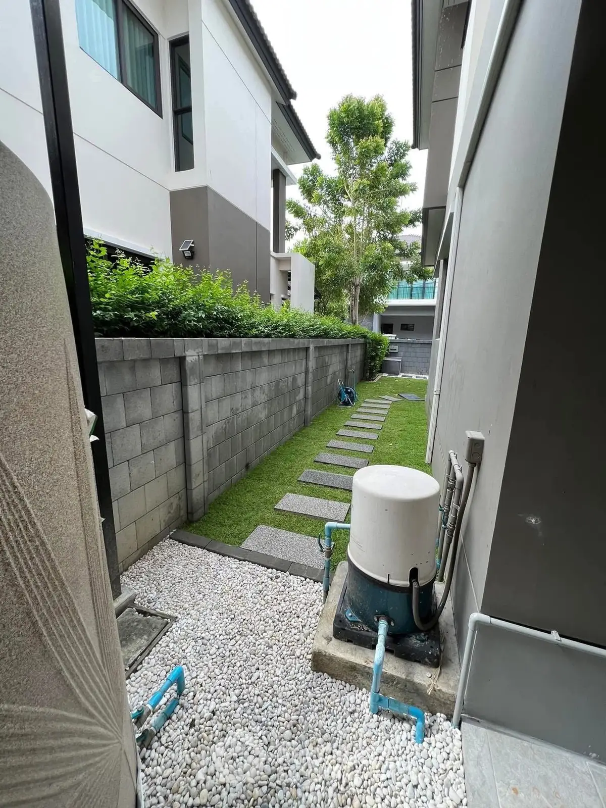 Modern residential backyard with stone pathway and lush greenery