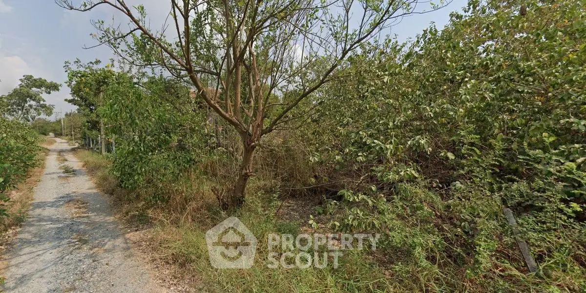Explore this lush green plot perfect for development, offering tranquility and natural beauty.