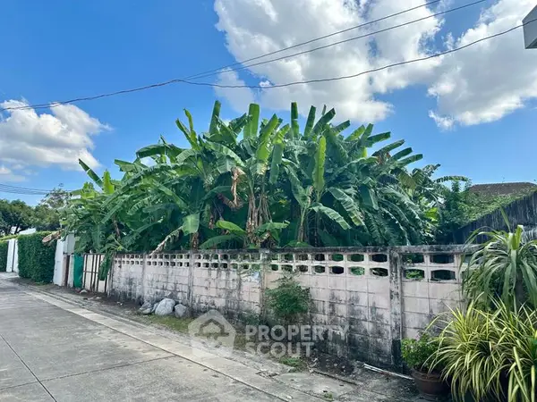 image_rental-30570128