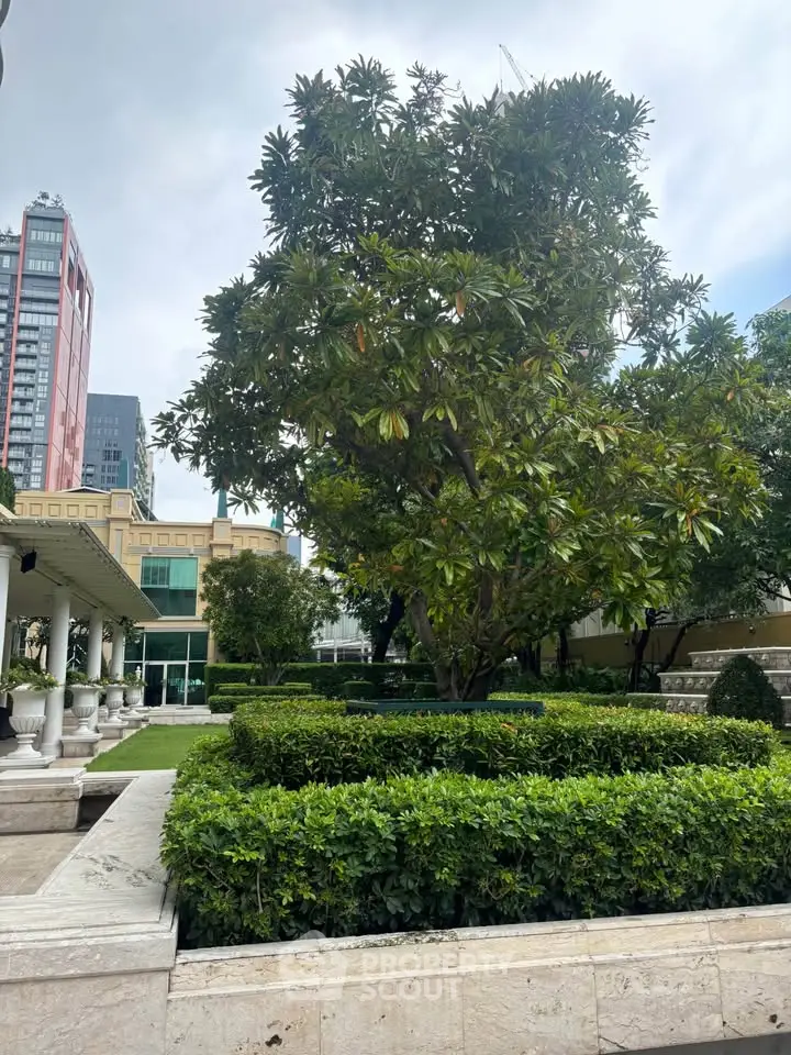 Lush garden with manicured hedges and towering tree in urban setting