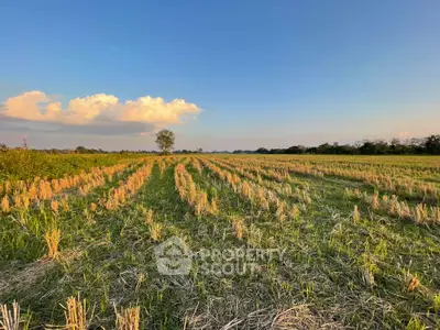 image_rental-11958798