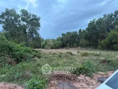 Expansive plot of land with lush greenery, perfect for development or investment opportunities.