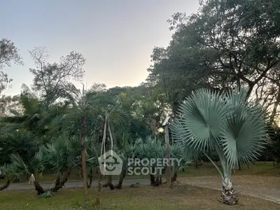 Lush garden with diverse palm trees and serene pathway, perfect for nature lovers seeking tranquility.