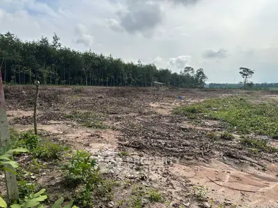 Expansive land plot with lush greenery, ideal for development or agriculture, offering serene natural surroundings.