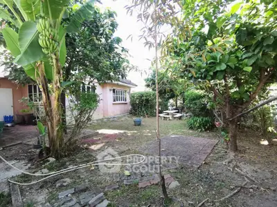 Charming garden with lush greenery and cozy seating area in suburban backyard.