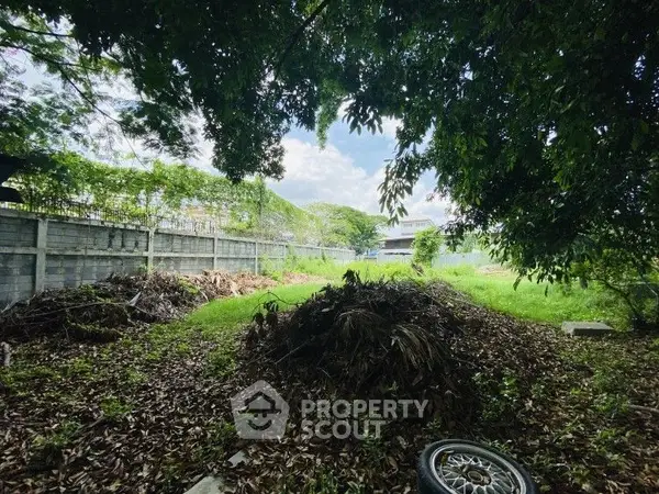 image_rental-20424430