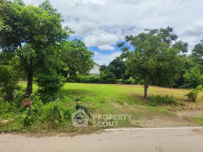 Spacious green lot with lush trees and clear skies, perfect for development.