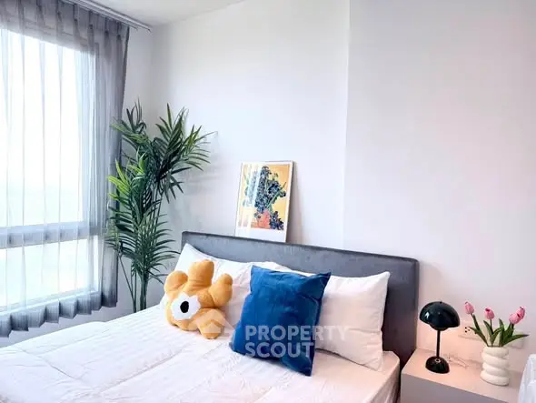 image_rental-31625988