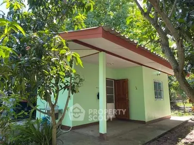 Charming small green house with a cozy porch surrounded by lush trees and greenery.