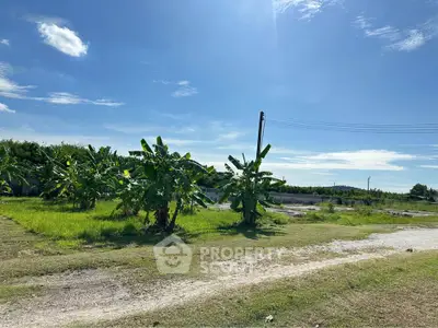 Expansive land plot with lush greenery and clear blue sky, perfect for development opportunities.