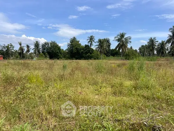 image_rental-27259828